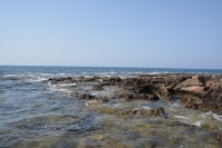 DSC_2313_exposure