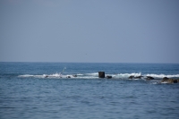 DSC_3131_exposure