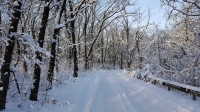 20180127_083325