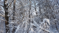 20180127_083407