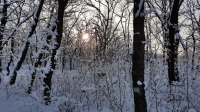 20180127_083412