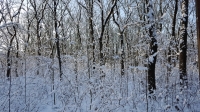 20180127_083418