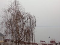 DSCN0325