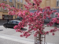 DSCN0517