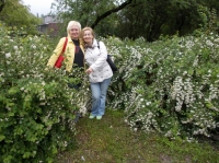 DSCN0653