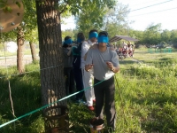 DSCN2416
